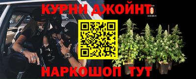 стафф Апшеронск