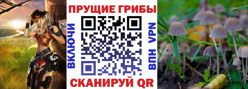 Галлюциногенные грибы Psilocybe OMG сайт Аша где найти наркотики