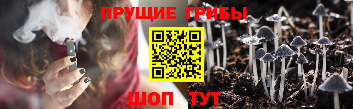 Галлюциногенные грибы Cubensis  Вход с VPN  как найти закладки  Аша 