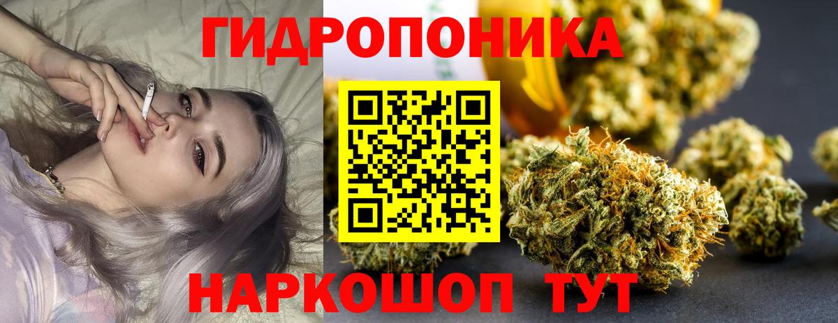 Бошки Шишки Bruce Banner Аша